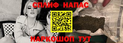 прущие грибы Боровичи