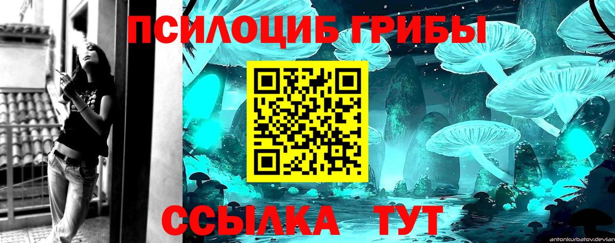 Псилоцибиновые грибы Psilocybine cubensis Строитель
